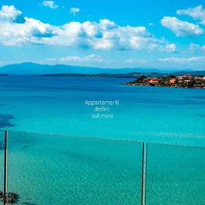 Delfini Sul Mare Golfo Aranci